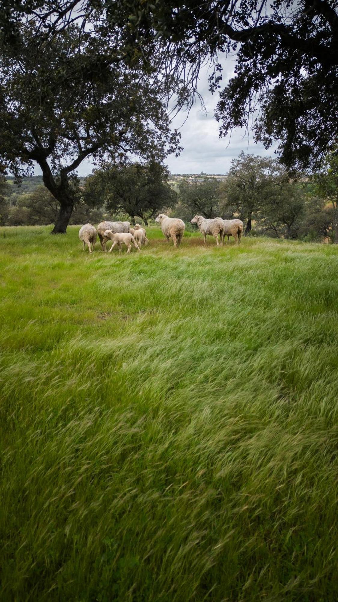 Origen Andevalo Villa Calanas Luaran gambar